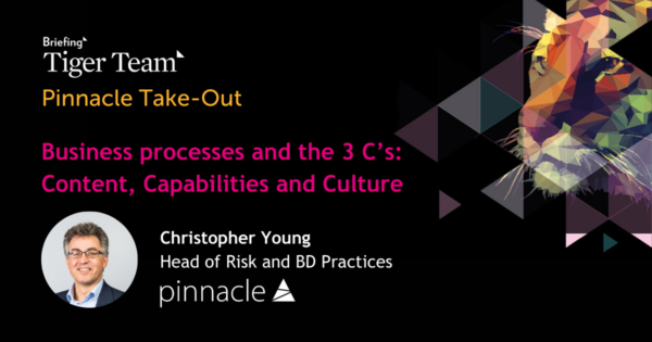 Christopher Young Business Processes and the 3 C's
